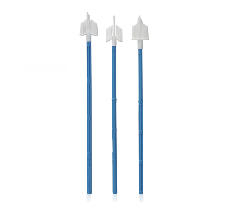 ციტოლოგიური ბრაში 0